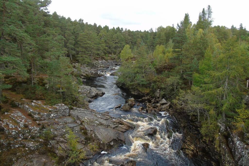 Rowan Cottage, Crannachcottages Garve Exteriör bild