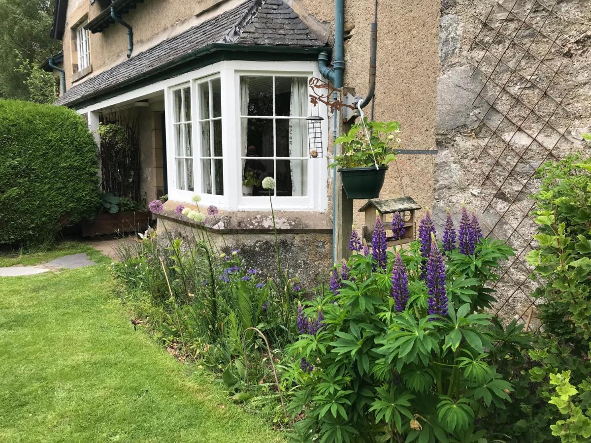 Rowan Cottage, Crannachcottages Garve Exteriör bild