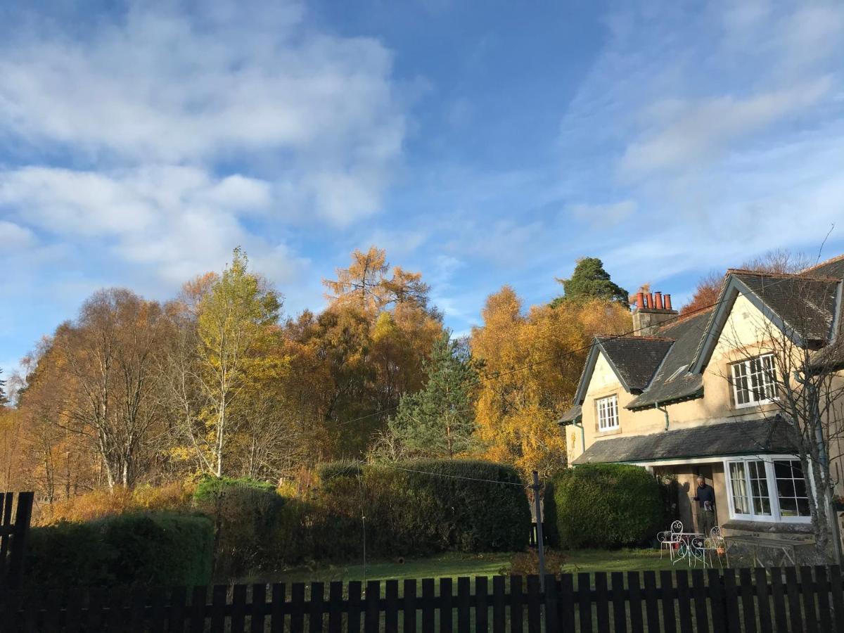 Rowan Cottage, Crannachcottages Garve Exteriör bild