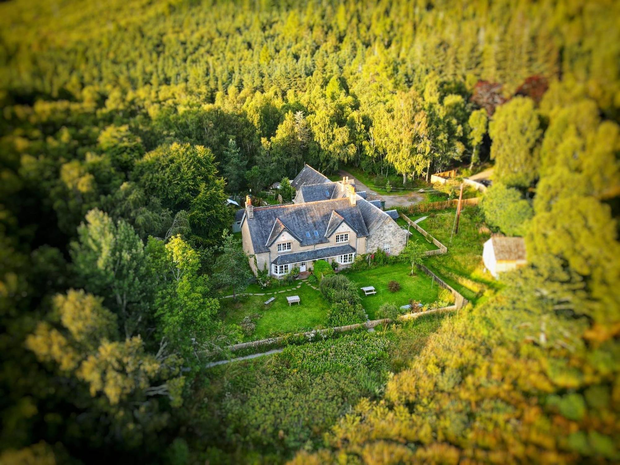 Rowan Cottage, Crannachcottages Garve Exteriör bild